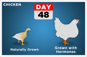 nonorganic-chicken